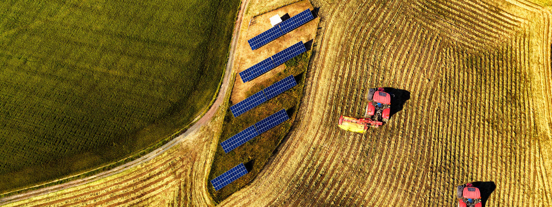 Agri-Photovoltaik